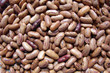 Kidney bean