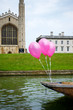 Kings College Chapel with Pink Balloons Cambridge Kings College Chapel with Pink Balloons Cambridge