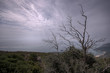 Arrábida Sky