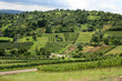 weinberg