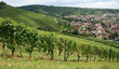 wein
