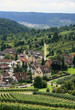 weinanbau