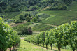 weinberg