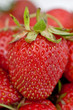 Detail of strawberry
