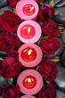 Top view row of candles with red rose petals