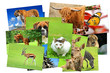 Fotogalerie 24 Fotogalerie 24