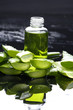 aloe with lotion- Spa still life