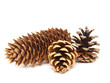 cones