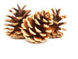 cones
