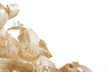 Wood chips and sawdust texture, with copy space