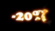 - 20 pour cent - 20 pour cent