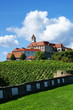 Castle Riegensburg,Austria.