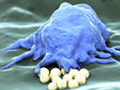 Makrophage