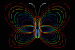Colorful butterfly