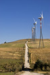 via delle eoliche 3