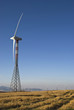 energia eolica