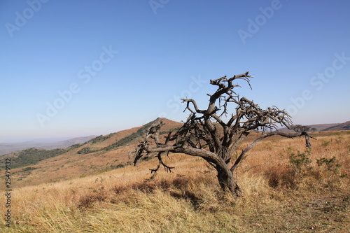 Photo: Sudafrica III Sudafrica III