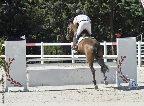 Photo: Jinete y caballo saltando. Jinete y caballo saltando.