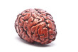 Bloody Brain on White