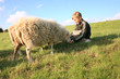 Boy and sheeps