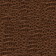 Crocodile Hide Seamless Texture Tile from Photographic Original Crocodile Hide Seamless Texture Tile from Photographic Original