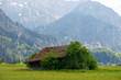 natur,  berg