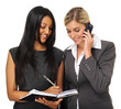 Multiracial business