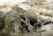 L'eau vive