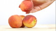 Fresh peaches in woman's hand.
