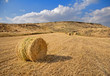 Golden Hay Field