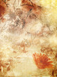 fabric (see portfolio big collections) fabric (see portfolio big collections)