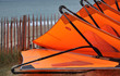 windsurf