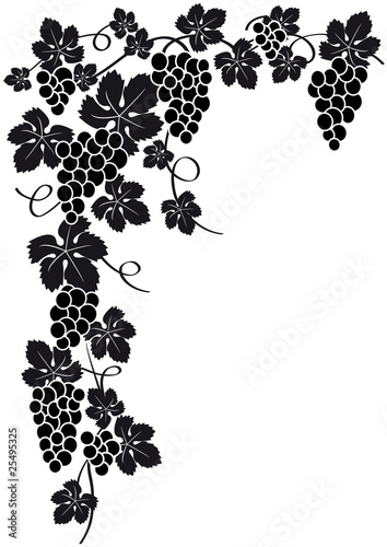 Vector: Silueta racimo de uvas haciendo esquina Silueta racimo de uvas haciendo esquina