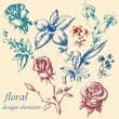 Floral design elements collection