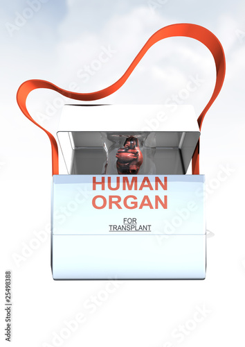 Illustration: SpenderOrgan SpenderOrgan