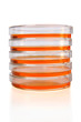 Stack of Petri Dishes Stack of Petri Dishes