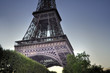 Eifel Tower - Paris (France) Eifel Tower - Paris (France)