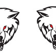 Head of a wolf.Vector illustration Head of a wolf.Vector illustration
