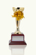 trophy trophy