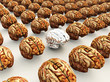 Odd Brain Out