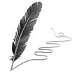 Vector feather