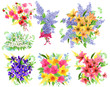 Collection of detailed beautiful bunches of flowers