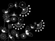 flower pattern