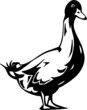 Duck Vinyl Ready Vector Illustration Duck Vinyl Ready Vector Illustration