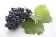 Grappe dde raisin noir