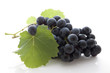 Grappe dde raisin noir
