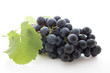 Grappe dde raisin noir
