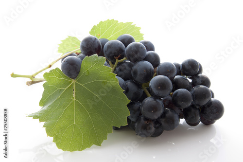 Photo: Grappe dde raisin noir Grappe dde raisin noir