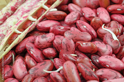 haricots grains frais haricots grains frais