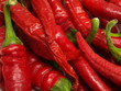 Red pepper